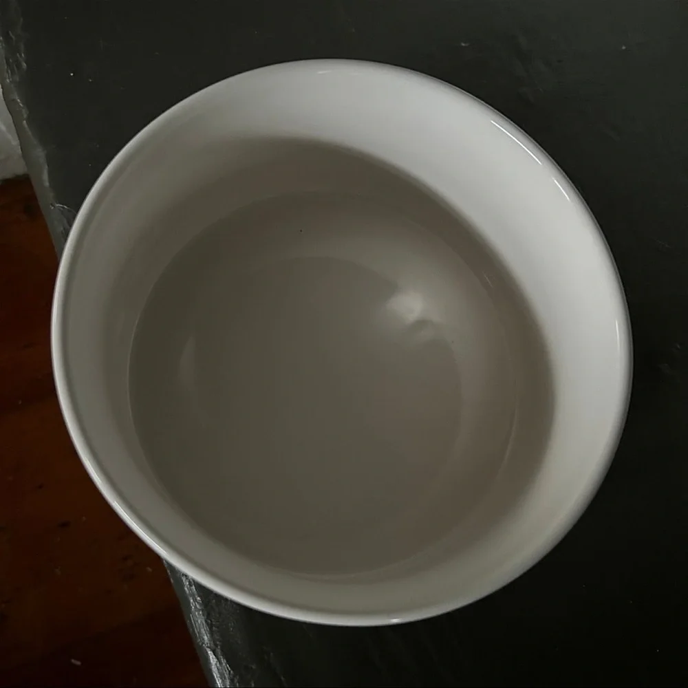 Rae Dunn WICKED CUTE Bowl